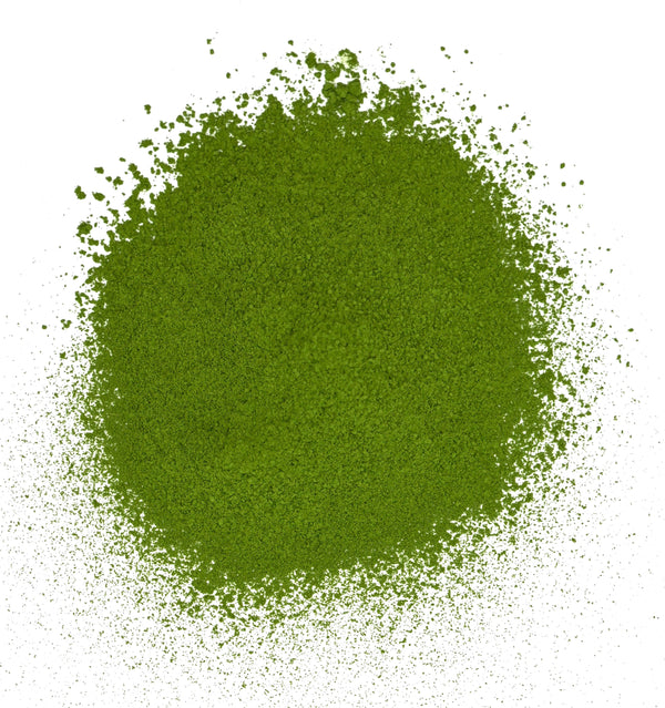 Matcha Okumidori Single Cultivar – Thé vert matcha japonais premium