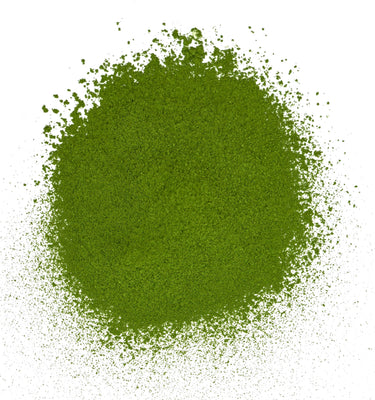 Matcha Okumidori Single Cultivar – Thé vert matcha japonais premium