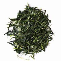 Sencha Aoba – Thé vert japonais ombragé de Wazuka