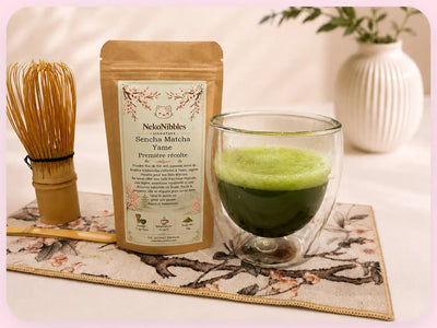 Sencha Matcha Yame – Première récolte